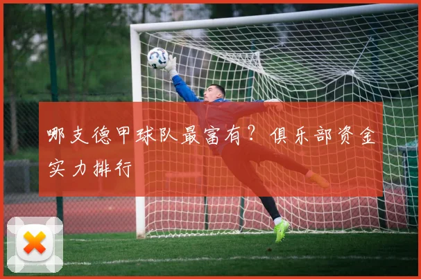 哪支德甲球队最富有？俱乐部资金实力排行