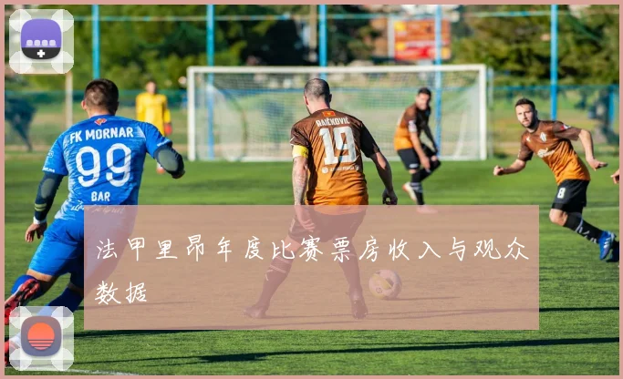 法甲里昂年度比赛票房收入与观众数据