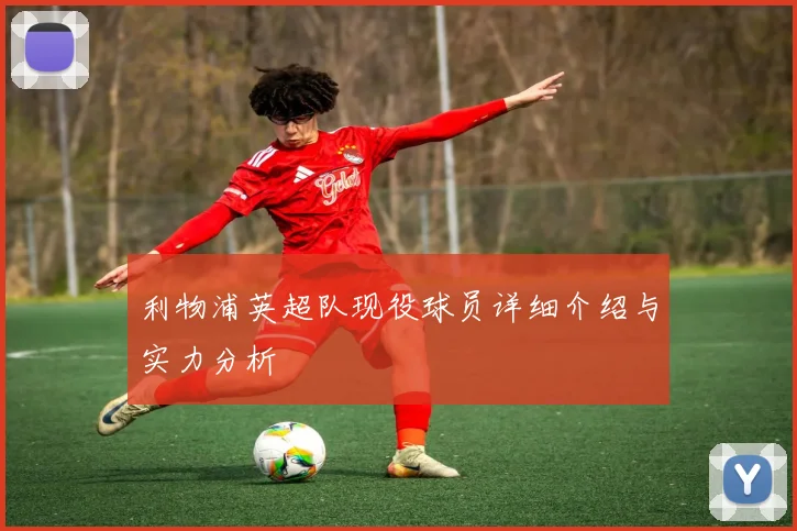 利物浦英超队现役球员详细介绍与实力分析