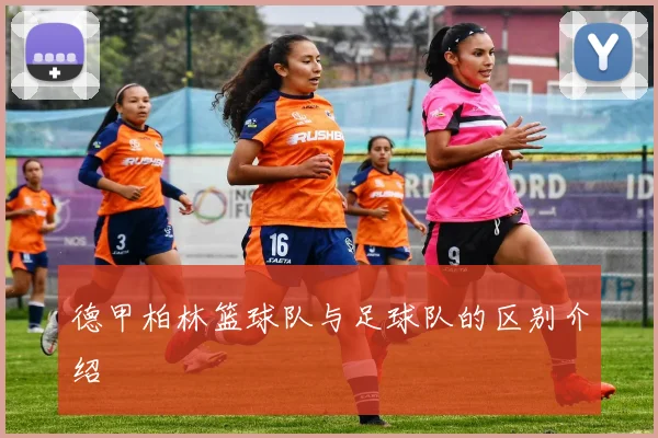 德甲柏林篮球队与足球队的区别介绍